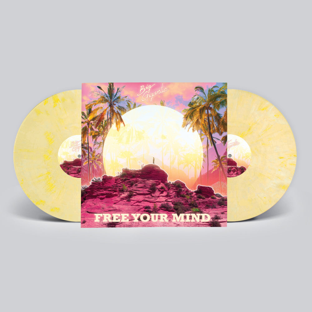 big-gigantic-free-your-mind-vinyl-record.jpg-2