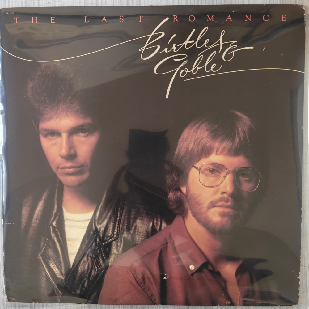 birtles-&-goble-the-last-romance-vinyl-record.jpg