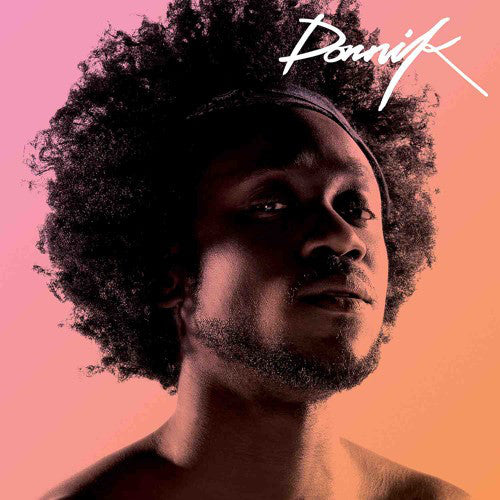 vinyl-dornik-by-dornik